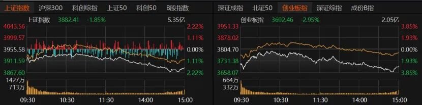科技股还在跌！科创50重挫逾4%，原因找到了